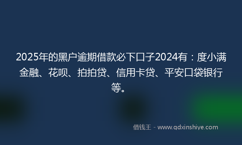 2025年的黑户逾期借款必下口子2024有：度小满金融、花呗、拍拍贷、信用卡贷、平安口袋银行等。