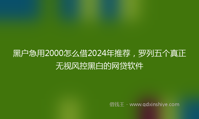 黑户急用2000怎么借2024年推荐，罗列五个真正无视风控黑白的网贷软件