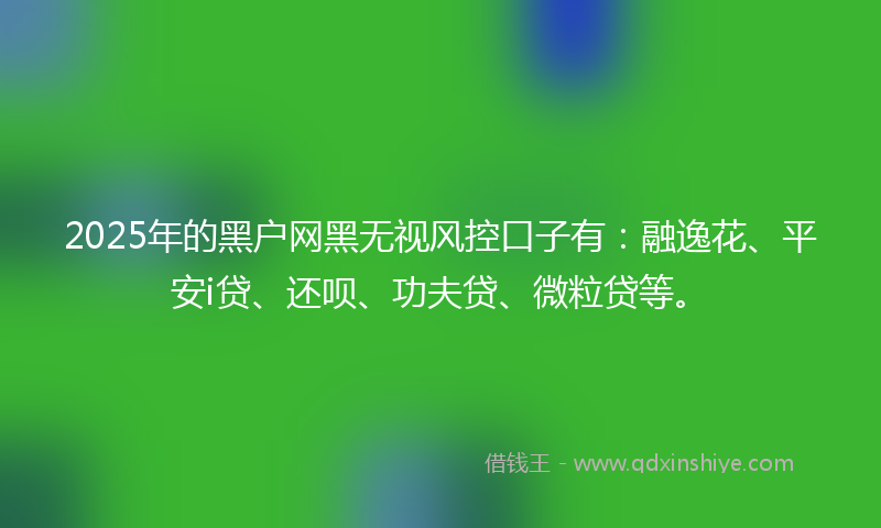 2025年的黑户网黑无视风控口子有：融逸花、平安i贷、还呗、功夫贷、微粒贷等。