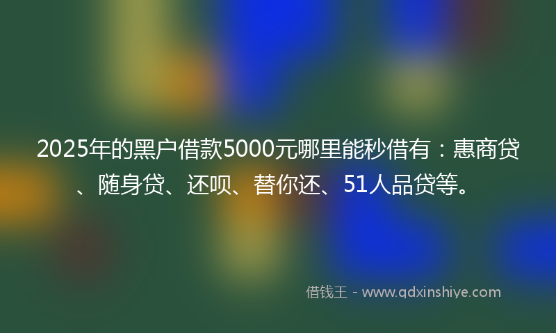 2025年的黑户借款5000元哪里能秒借有:惠商贷、随身贷、还呗、替你还、51人品贷等。