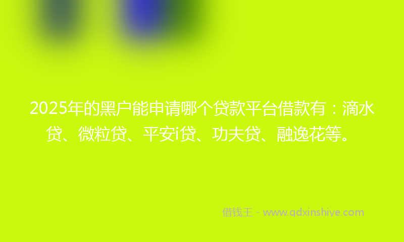 2025年的黑户能申请哪个贷款平台借款有：滴水贷、微粒贷、平安i贷、功夫贷、融逸花等。