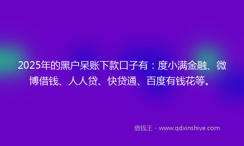 2025年的黑户呆账下款口子有：度小满金融、微博借钱、人人贷、快贷通、百度有钱花等。