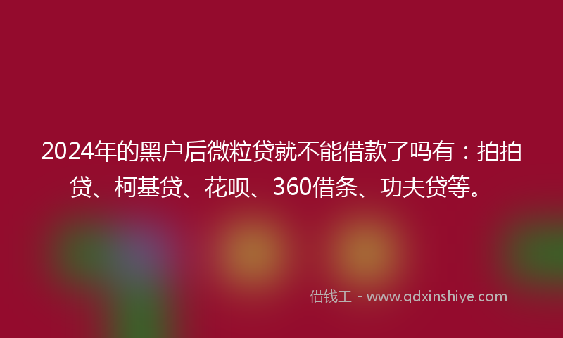 2024年的黑户后微粒贷就不能借款了吗有：拍拍贷、柯基贷、花呗、360借条、功夫贷等。