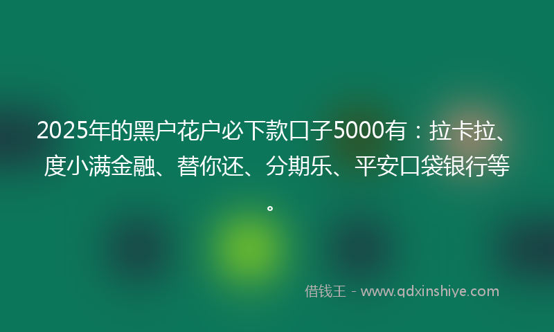 2025年的黑户花户必下款口子5000有：拉卡拉、度小满金融、替你还、分期乐、平安口袋银行等。