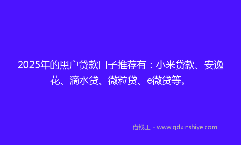 2025年的黑户贷款口子推荐有：小米贷款、安逸花、滴水贷、微粒贷、e微贷等。