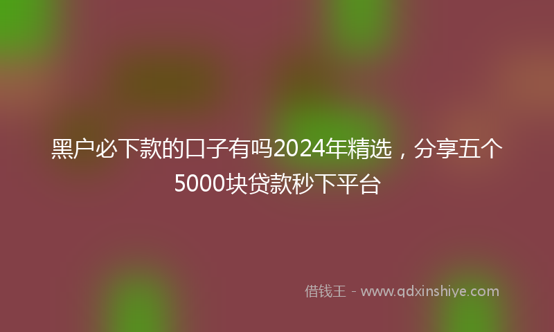 黑户必下款的口子有吗2024年精选，分享五个5000块贷款秒下平台
