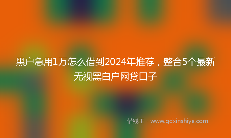 黑户急用1万怎么借到2024年推荐，整合5个最新无视黑白户网贷口子