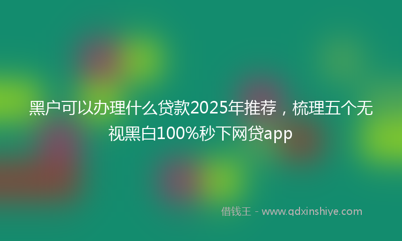 黑户可以办理什么贷款2025年推荐，梳理五个无视黑白100%秒下网贷app