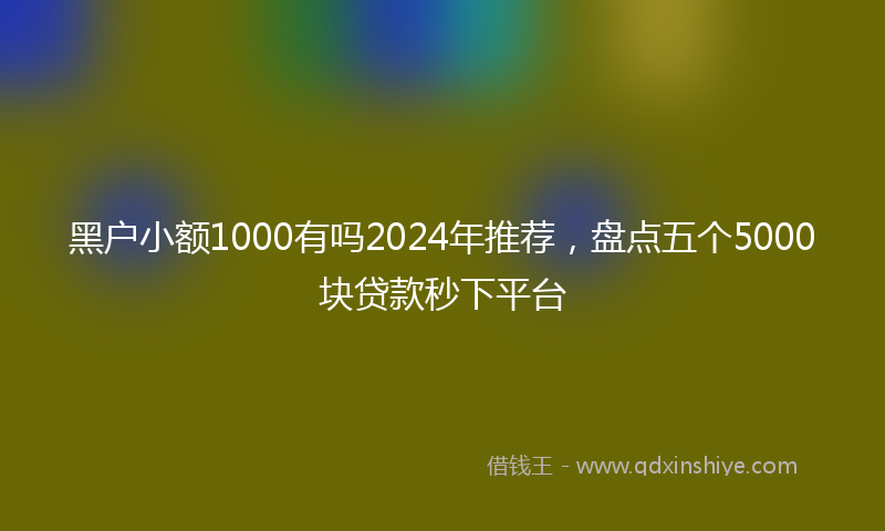 黑户小额1000有吗2024年推荐，盘点五个5000块贷款秒下平台