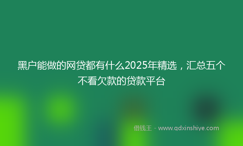 黑户能做的网贷都有什么2025年精选，汇总五个不看欠款的贷款平台