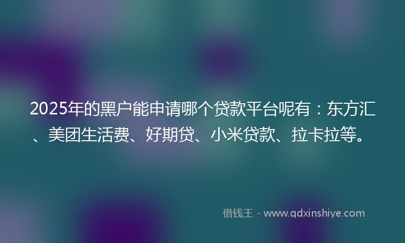 2025年的黑户能申请哪个贷款平台呢有：东方汇、美团生活费、好期贷、小米贷款、拉卡拉等。