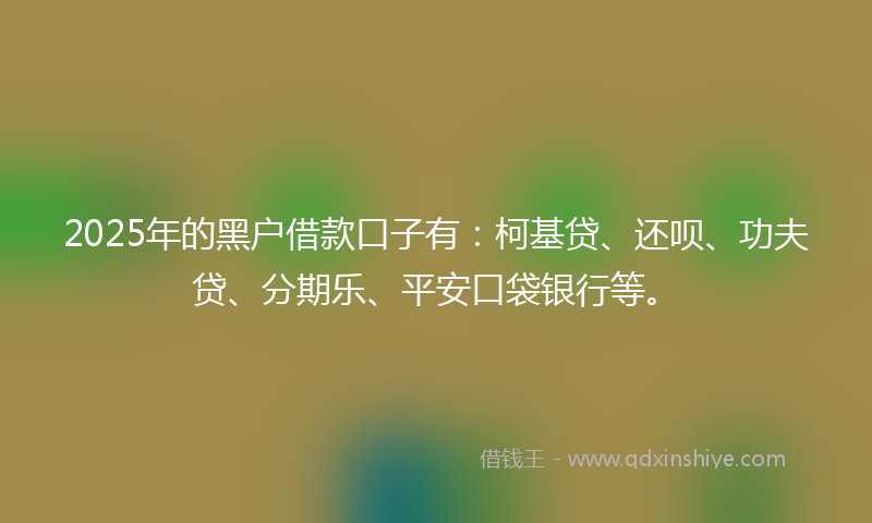 2025年的黑户借款口子有：柯基贷、还呗、功夫贷、分期乐、平安口袋银行等。
