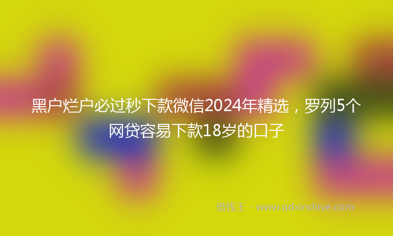 黑户烂户必过秒下款微信2024年精选，罗列5个网贷容易下款18岁的口子