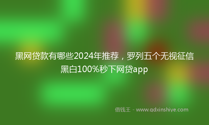 黑网贷款有哪些2024年推荐，罗列五个无视征信黑白100%秒下网贷app
