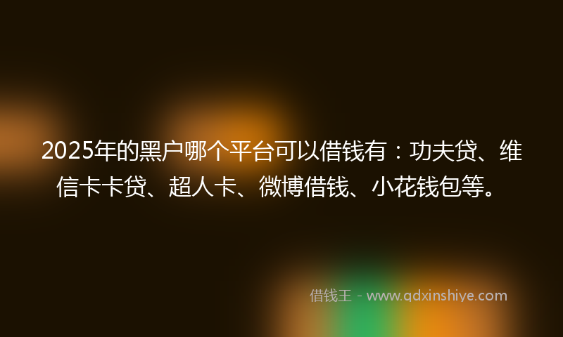 2025年的黑户哪个平台可以借钱有：功夫贷、维信卡卡贷、超人卡、微博借钱、小花钱包等。