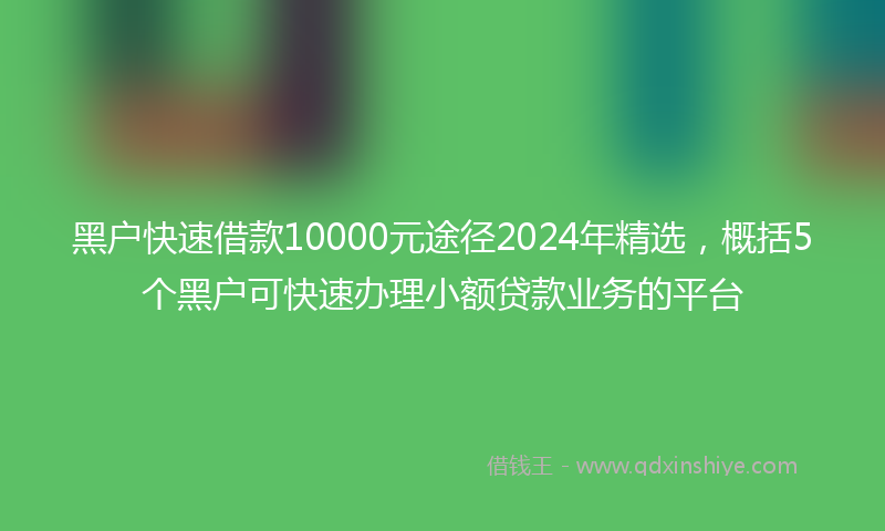 黑户快速借款10000元途径2024年精选，概括5个黑户可快速办理小额贷款业务的平台