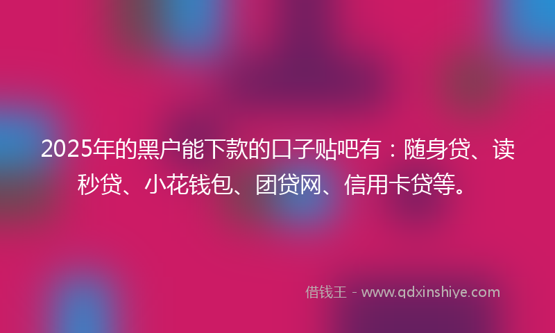2025年的黑户能下款的口子贴吧有：随身贷、读秒贷、小花钱包、团贷网、信用卡贷等。
