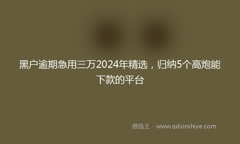 黑户逾期急用三万2024年精选，归纳5个高炮能下款的平台