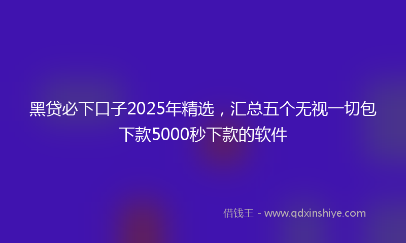 黑贷必下口子2025年精选，汇总五个无视一切包下款5000秒下款的软件