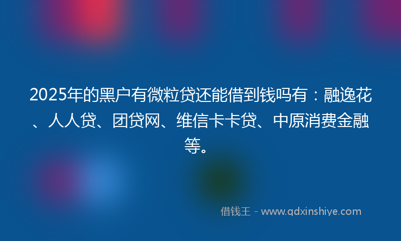 2025年的黑户有微粒贷还能借到钱吗有：融逸花、人人贷、团贷网、维信卡卡贷、中原消费金融等。