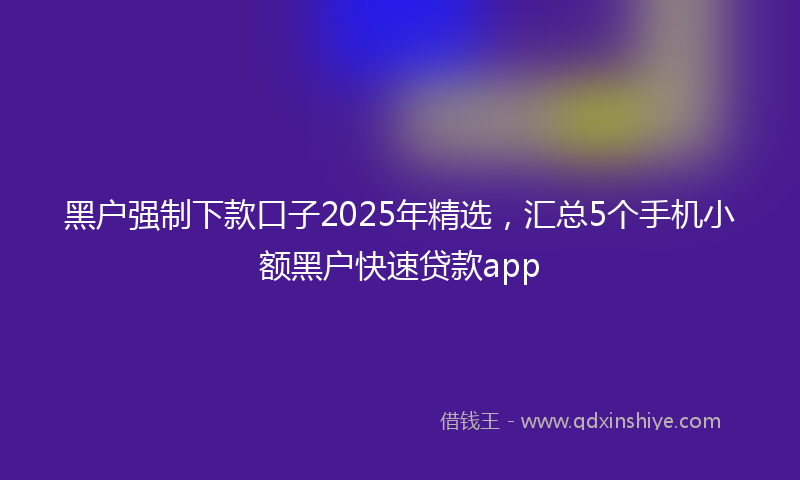 黑户强制下款口子2025年精选，汇总5个手机小额黑户快速贷款app