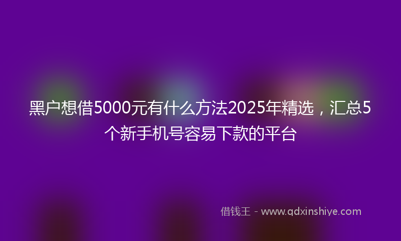 黑户想借5000元有什么方法2025年精选，汇总5个新手机号容易下款的平台