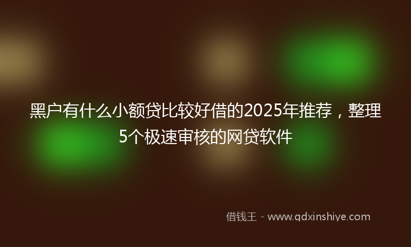 黑户有什么小额贷比较好借的2025年推荐，整理5个极速审核的网贷软件