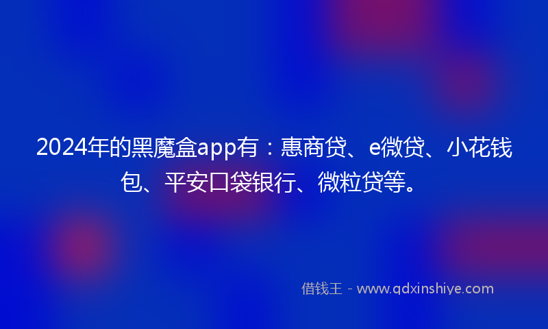2024年的黑魔盒app有：惠商贷、e微贷、小花钱包、平安口袋银行、微粒贷等。