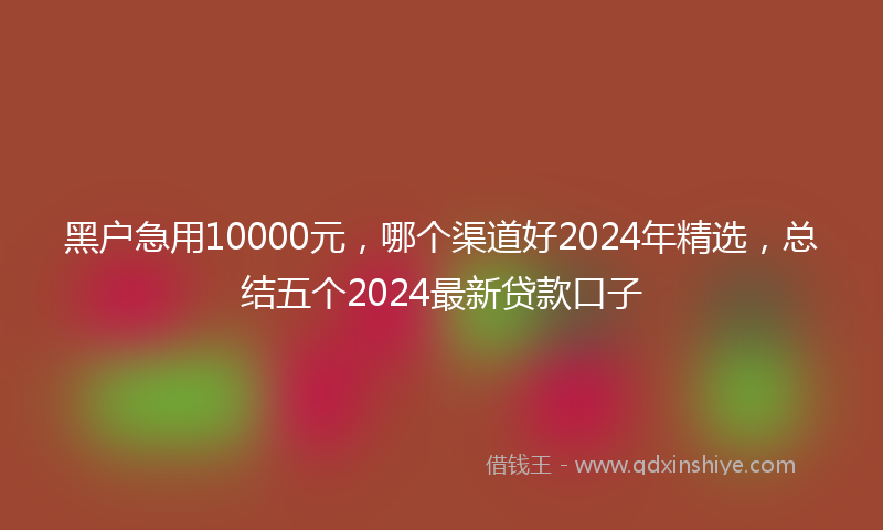 黑户急用10000元，哪个渠道好2024年精选，总结五个2024最新贷款口子