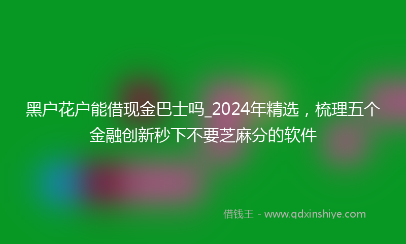 黑户花户能借现金巴士吗_2024年精选，梳理五个金融创新秒下不要芝麻分的软件