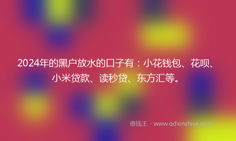 2024年的黑户放水的口子有：小花钱包、花呗、小米贷款、读秒贷、东方汇等。