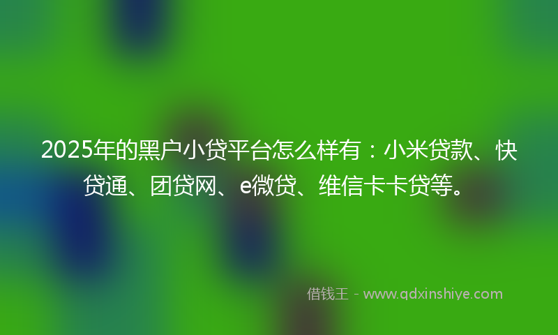 2025年的黑户小贷平台怎么样有：小米贷款、快贷通、团贷网、e微贷、维信卡卡贷等。
