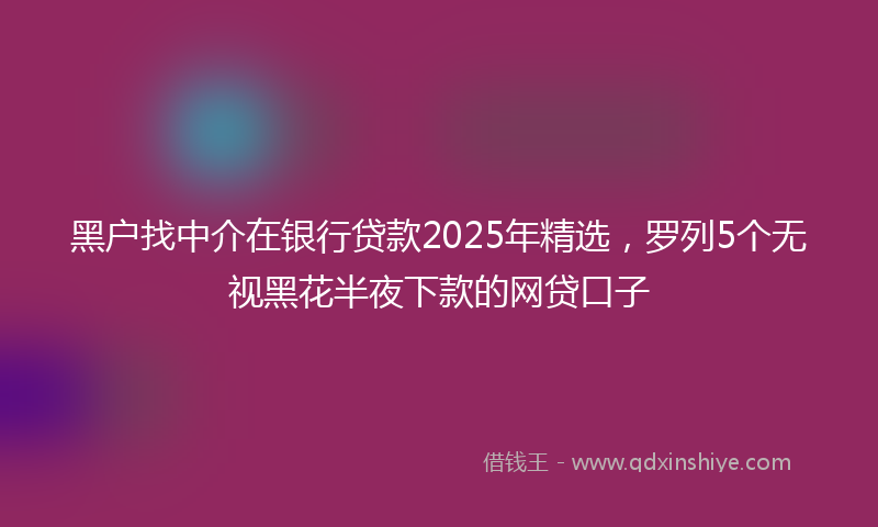 黑户找中介在银行贷款2025年精选，罗列5个无视黑花半夜下款的网贷口子