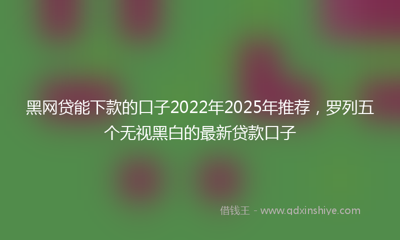 黑网贷能下款的口子2022年2025年推荐，罗列五个无视黑白的最新贷款口子
