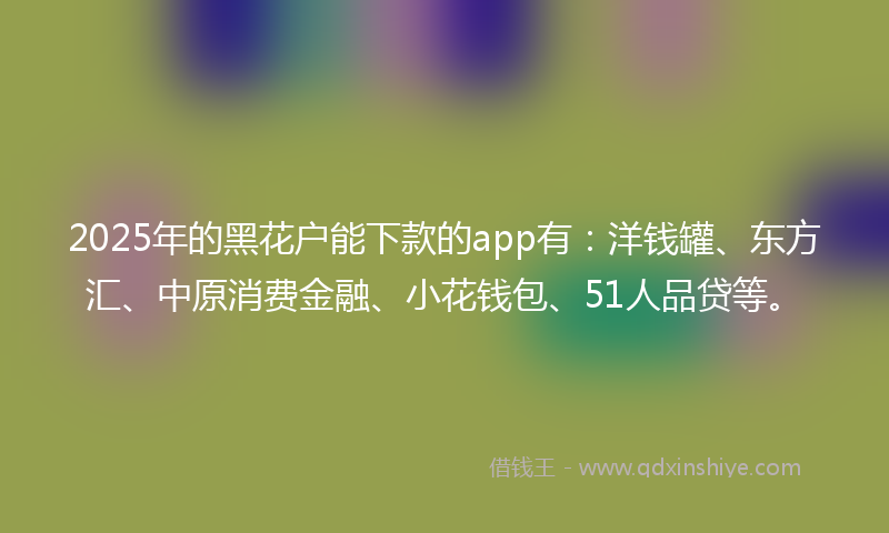 2025年的黑花户能下款的app有：洋钱罐、东方汇、中原消费金融、小花钱包、51人品贷等。