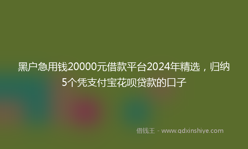 黑户急用钱20000元借款平台2024年精选，归纳5个凭支付宝花呗贷款的口子