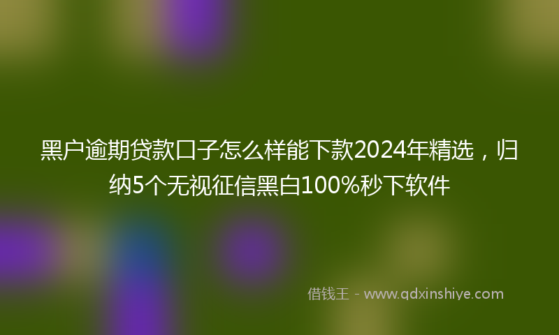 黑户逾期贷款口子怎么样能下款2024年精选，归纳5个无视征信黑白100%秒下软件