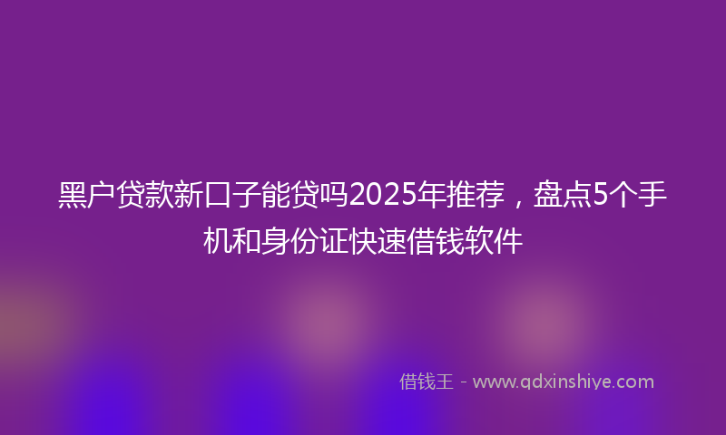 黑户贷款新口子能贷吗2025年推荐，盘点5个手机和身份证快速借钱软件