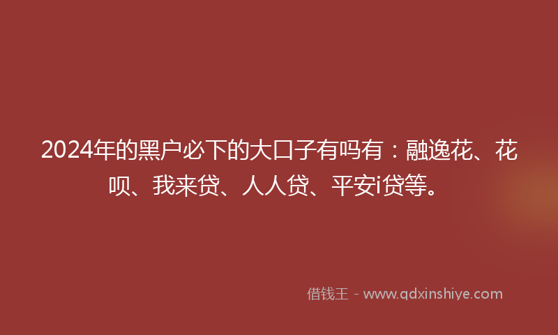 2024年的黑户必下的大口子有吗有：融逸花、花呗、我来贷、人人贷、平安i贷等。