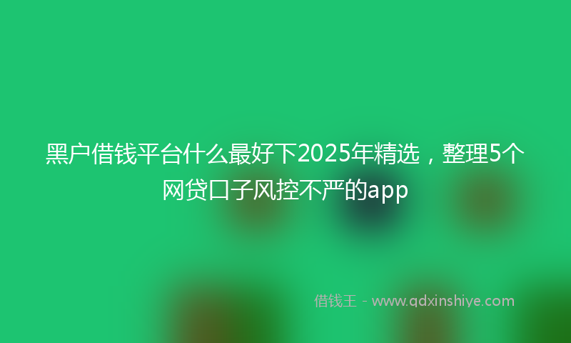 黑户借钱平台什么最好下2025年精选，整理5个网贷口子风控不严的app