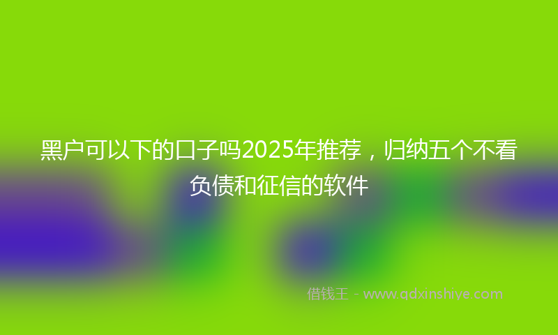 黑户可以下的口子吗2025年推荐，归纳五个不看负债和征信的软件