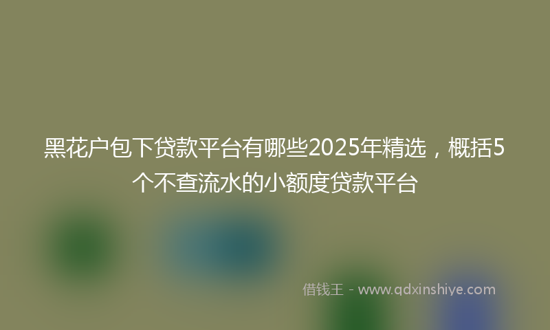 黑花户包下贷款平台有哪些2025年精选，概括5个不查流水的小额度贷款平台