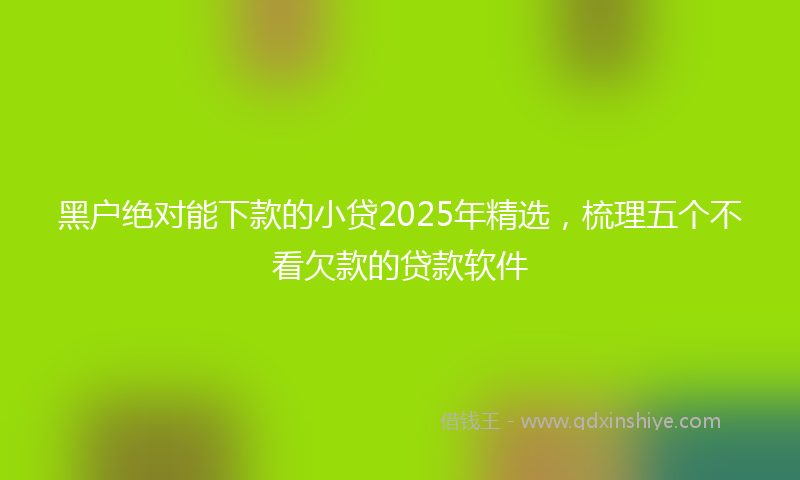 黑户绝对能下款的小贷2025年精选，梳理五个不看欠款的贷款软件