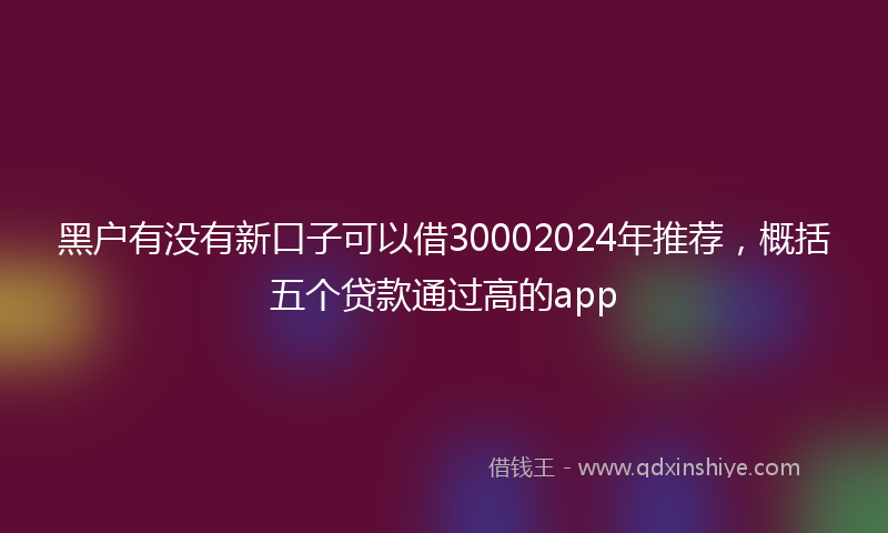 黑户有没有新口子可以借30002024年推荐，概括五个贷款通过高的app