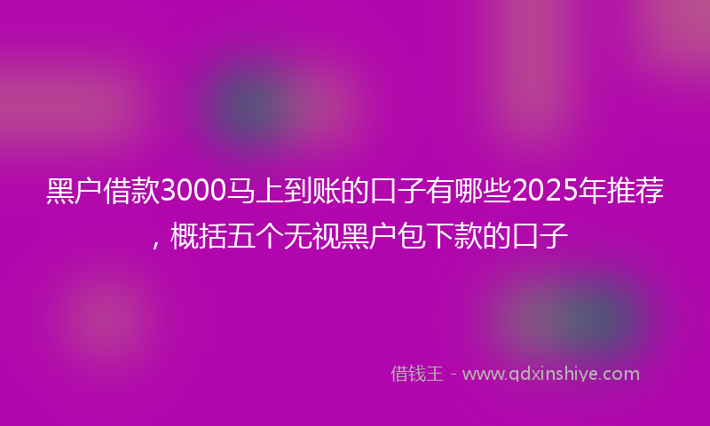 黑户借款3000马上到账的口子有哪些2025年推荐，概括五个无视黑户包下款的口子