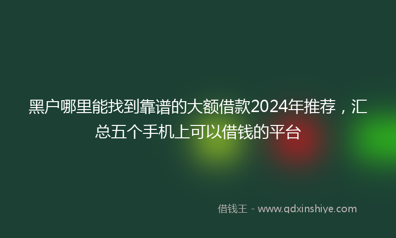 黑户哪里能找到靠谱的大额借款2024年推荐，汇总五个手机上可以借钱的平台