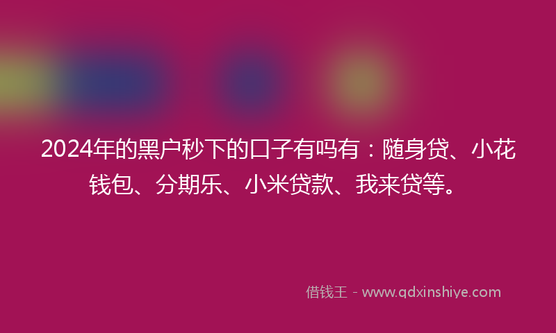2024年的黑户秒下的口子有吗有：随身贷、小花钱包、分期乐、小米贷款、我来贷等。