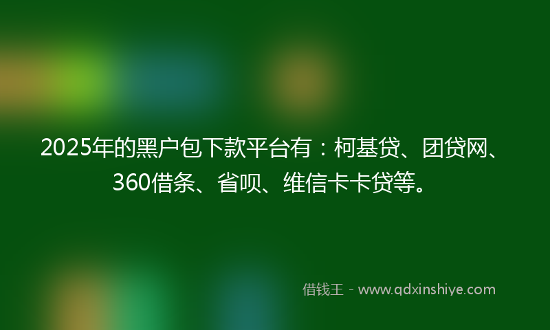 2025年的黑户包下款平台有：柯基贷、团贷网、360借条、省呗、维信卡卡贷等。
