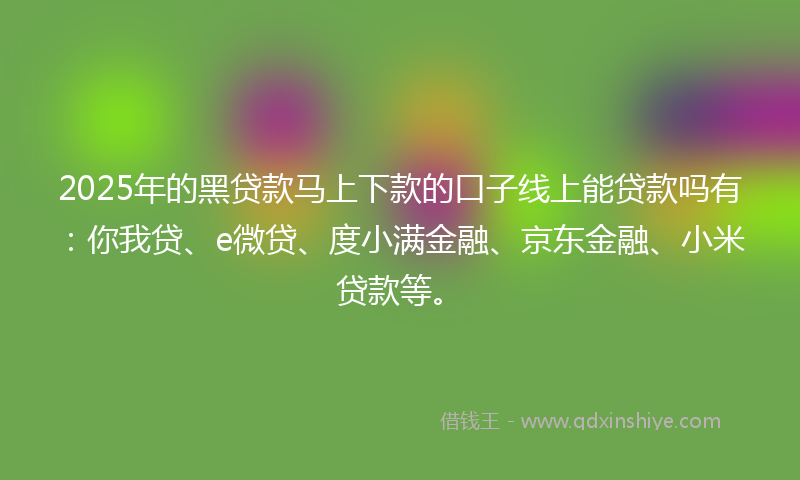 2025年的黑贷款马上下款的口子线上能贷款吗有：你我贷、e微贷、度小满金融、京东金融、小米贷款等。