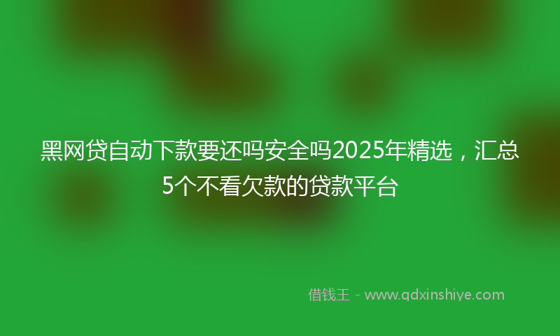 黑网贷自动下款要还吗安全吗2025年精选，汇总5个不看欠款的贷款平台